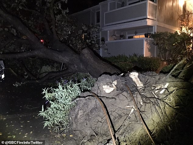 Cơn lốc xoáy hiếm hoi ở California ập xuống ở Santa Barbara, làm hư hại ô tô và quật ngã cây cối