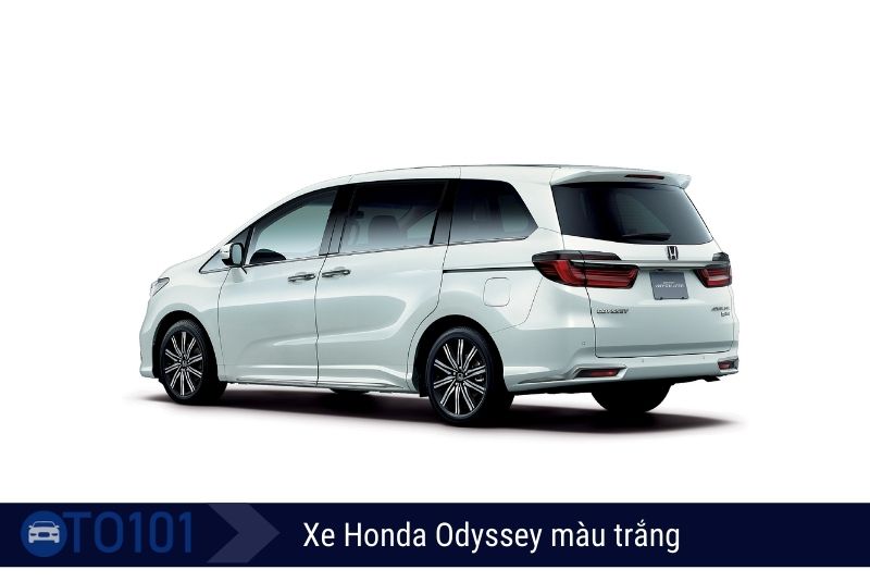 Xe Honda Odyssey đuôi